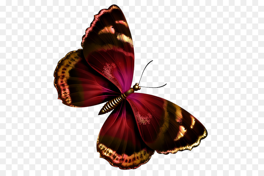 Schmetterling Papilio ulysses Greta oto Clip-art - schwebender Schmetterling