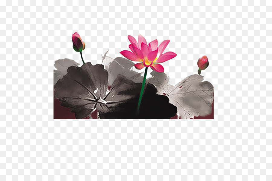 Mực rửa tranh Nhiếp ảnh - Phong cách vẽ mực lotus ao