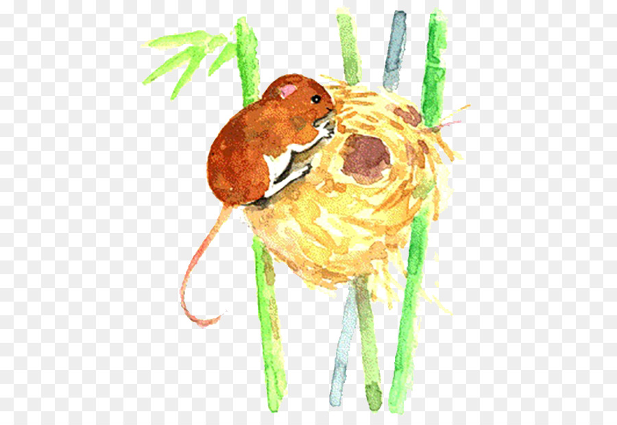 Maus Muroidea Abbildung - Stehlen Sie die Eier von Mäusen