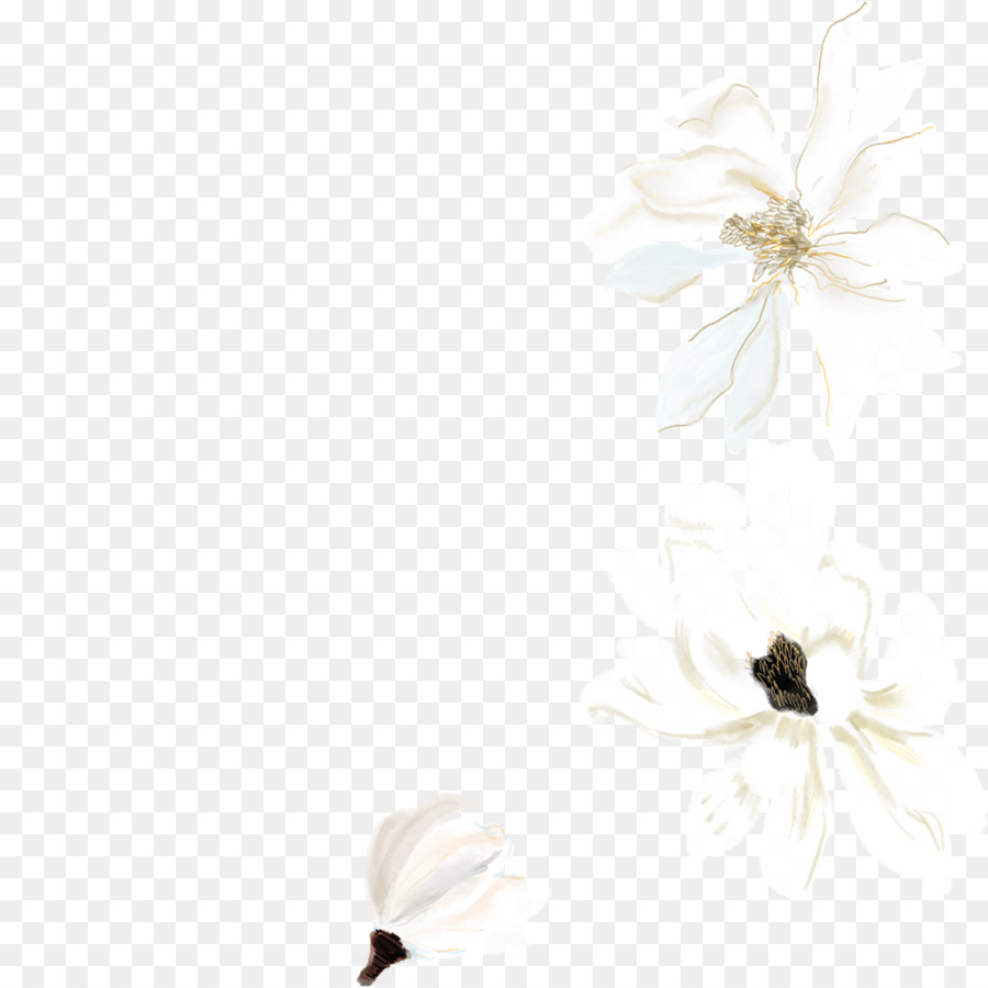 Black And White Flower png download - 1000*1000 - Free Transparent  Watercolor Painting png Download. - CleanPNG / KissPNG