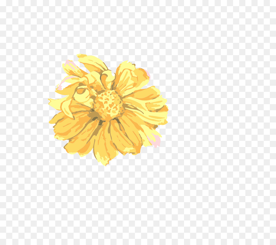 Chrysantheme Gelb Blütenblatt Schmuck Menschlichen Körper - Hand gemalten Blumen,Schöne,Aquarell,ölgemälde Effekt,Blumen,Blätter