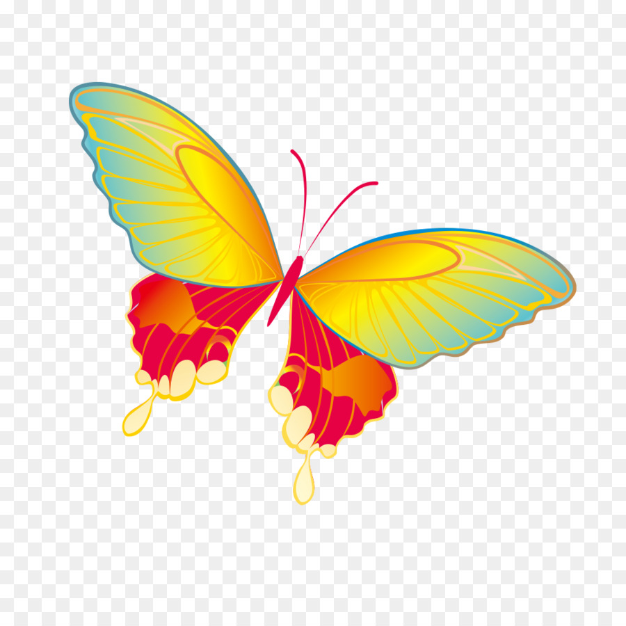 Farfalla Scaricare Clip art - farfalla
