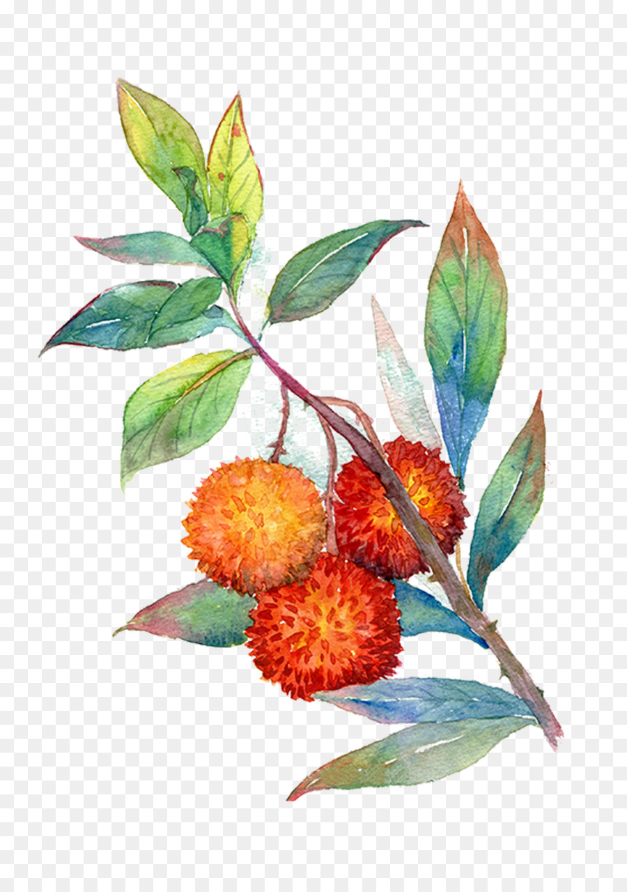 Kirsche Frucht Auglis Abbildung - Hand lackiert Kirschbaum