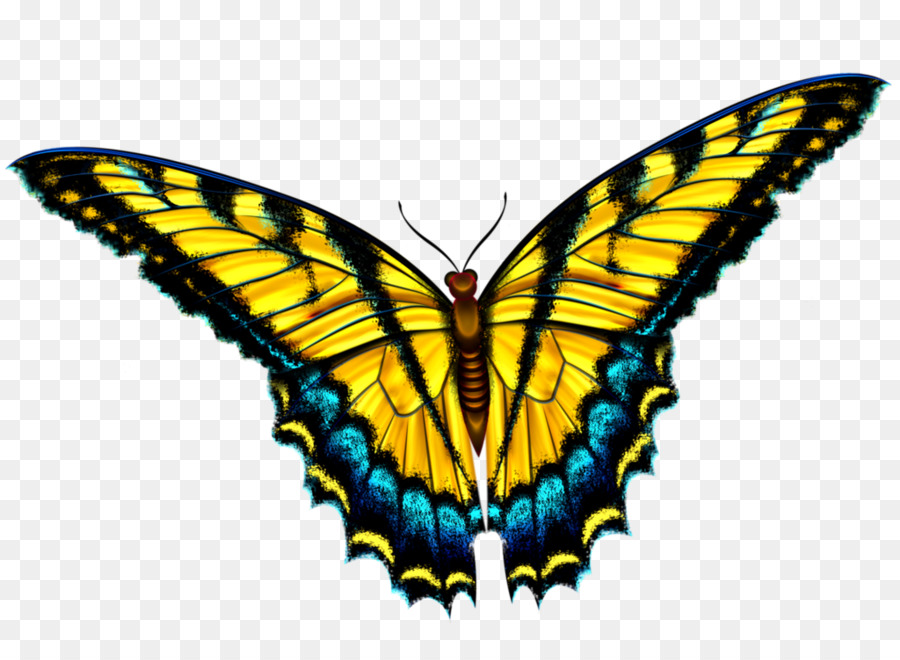Bướm Clip nghệ thuật - Thông minh bướm mẫu,bướm