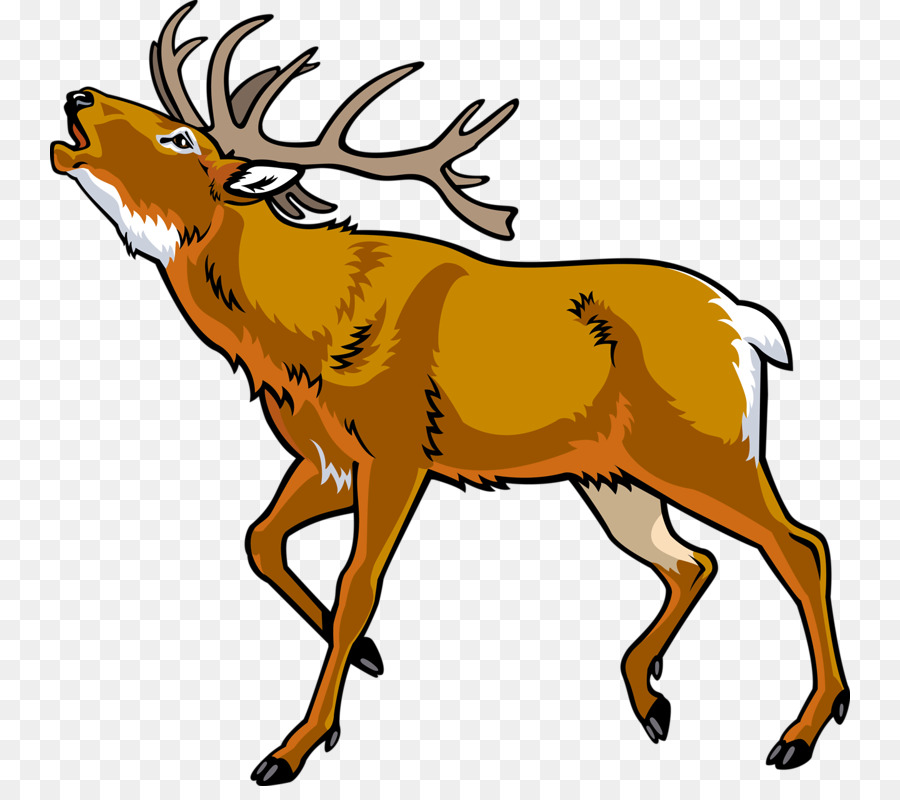 Reindeer Cartoon png download - 800*786 - Free Transparent Elk png  Download. - CleanPNG / KissPNG