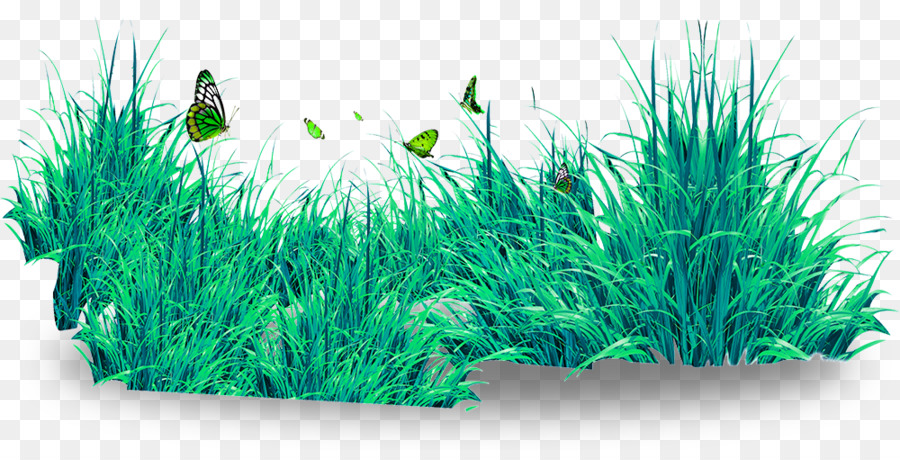 Bướm Cỏ Tải - Con bướm xinh đẹp và cỏ