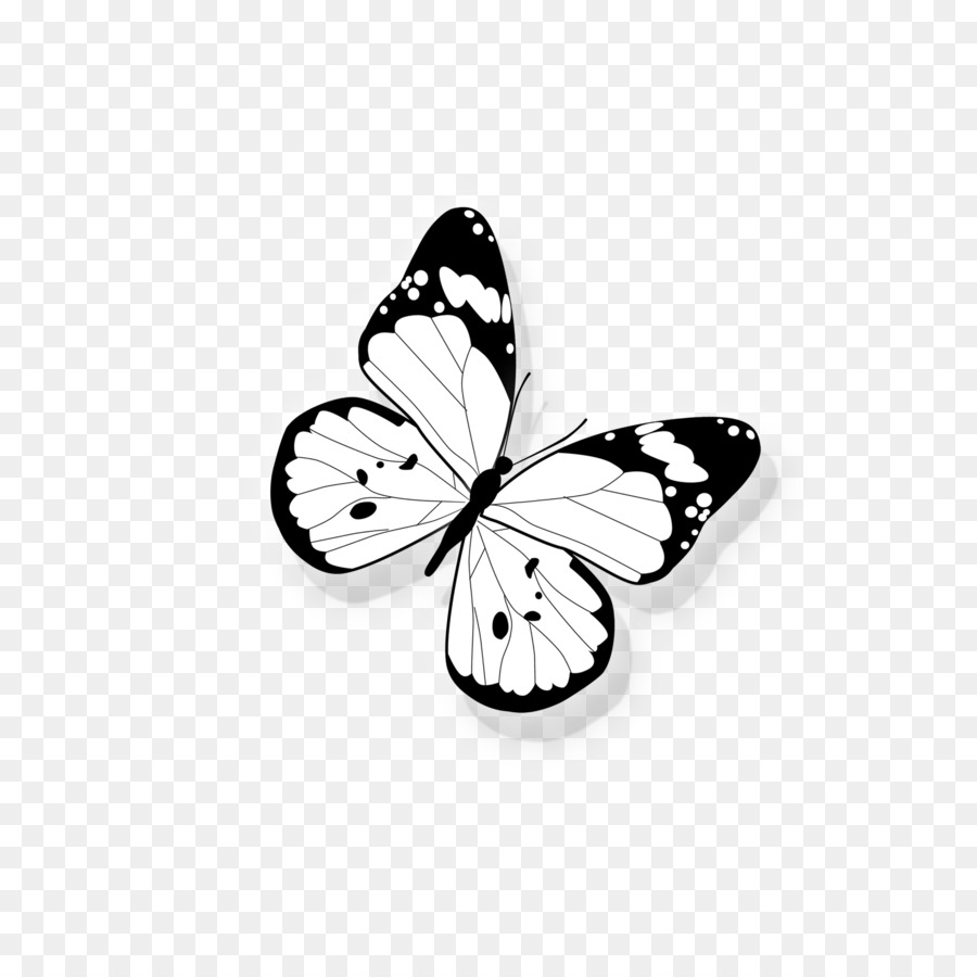 OnePlus 5T Computer-Datei - Schmetterling