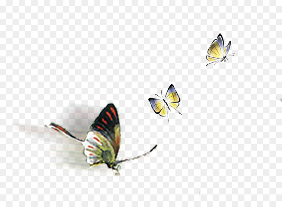 Moth Orchideen Chinoiserie Tinte wash Malerei - Drei Schmetterling