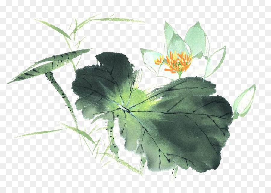 Nelumbo nucifera Tinte wash Malerei Download - Dekorative lotus