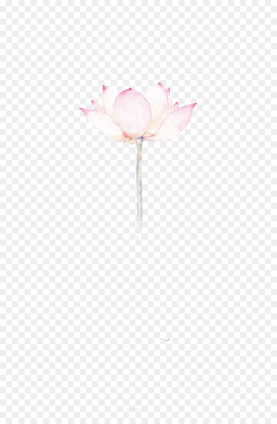 Rosaceae fotografia Still-life di fiori recisi di Petali di carta da Parati - Dipinto a mano lotus