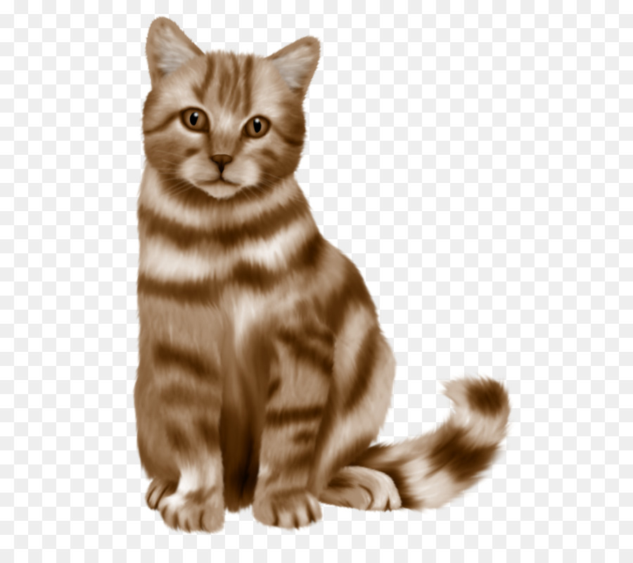 Gatto persiano Blu di russia Cartoon - Guardando il gatto