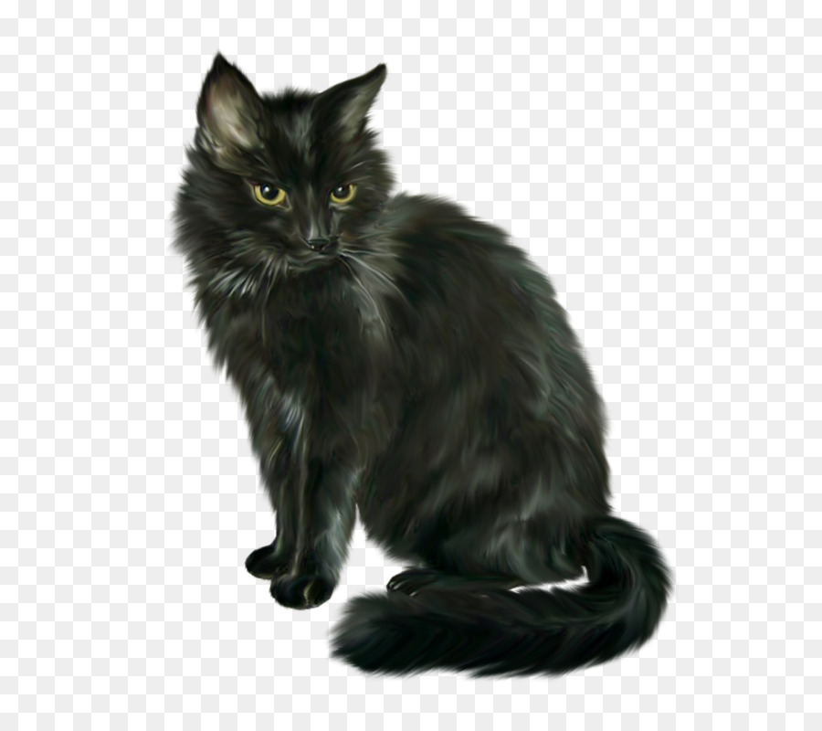 Gatto Siamese gatto Nero di Halloween Clip art - gatto nero