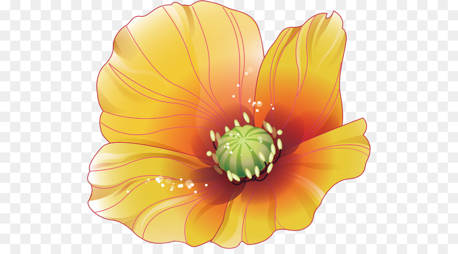 Flower Clip Art - Dekorativen floralen Muster