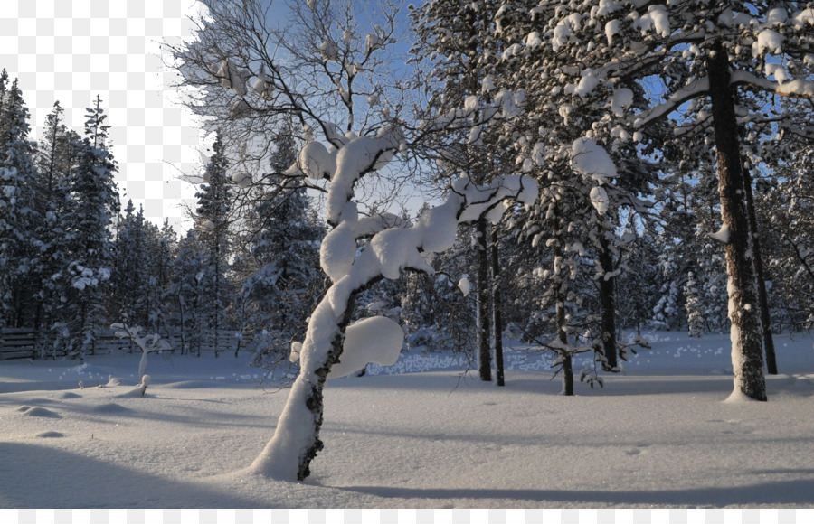 Finnland, Russisch Schwedischen Krieg Wallpaper - Finnland Schnee dreizehn