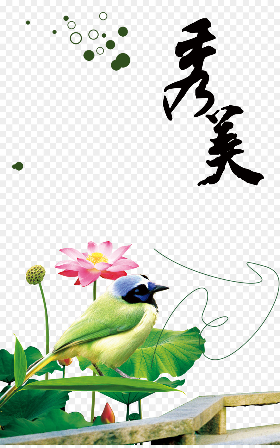 China Google Bilder - Lotus chinesischen Stil