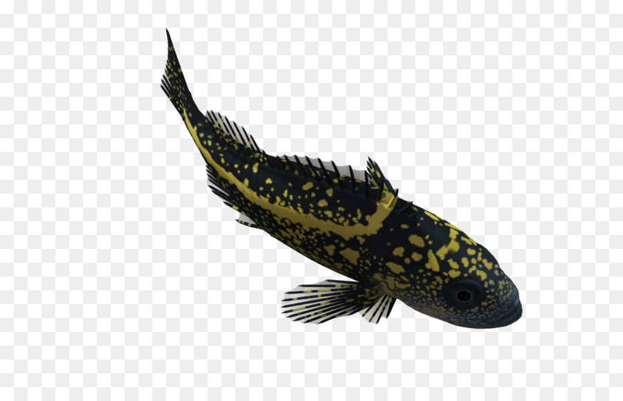 3D-computer-Grafiken Fisch Clip art - Biologische 3d-cartoon-Tiere