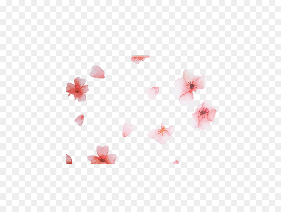 Creative Acquerello Acquerello fiore di Ciliegio - Bellissimo acquerello di ciliegio