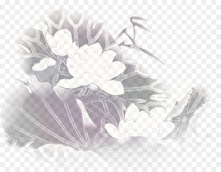 In bianco e nero di Nelumbo nucifera Disegno - Descrizione Lotus