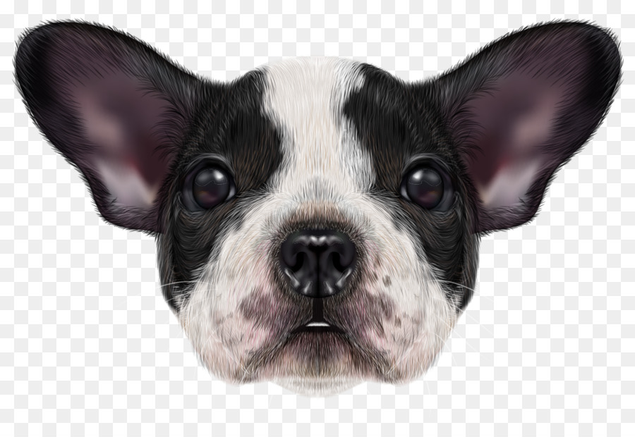 Französisch Bulldog, Dogue de Bordeaux, Boston Terrier, Basset Hound - Niedlich, cartoon, handbemalt, realistische Bulldog