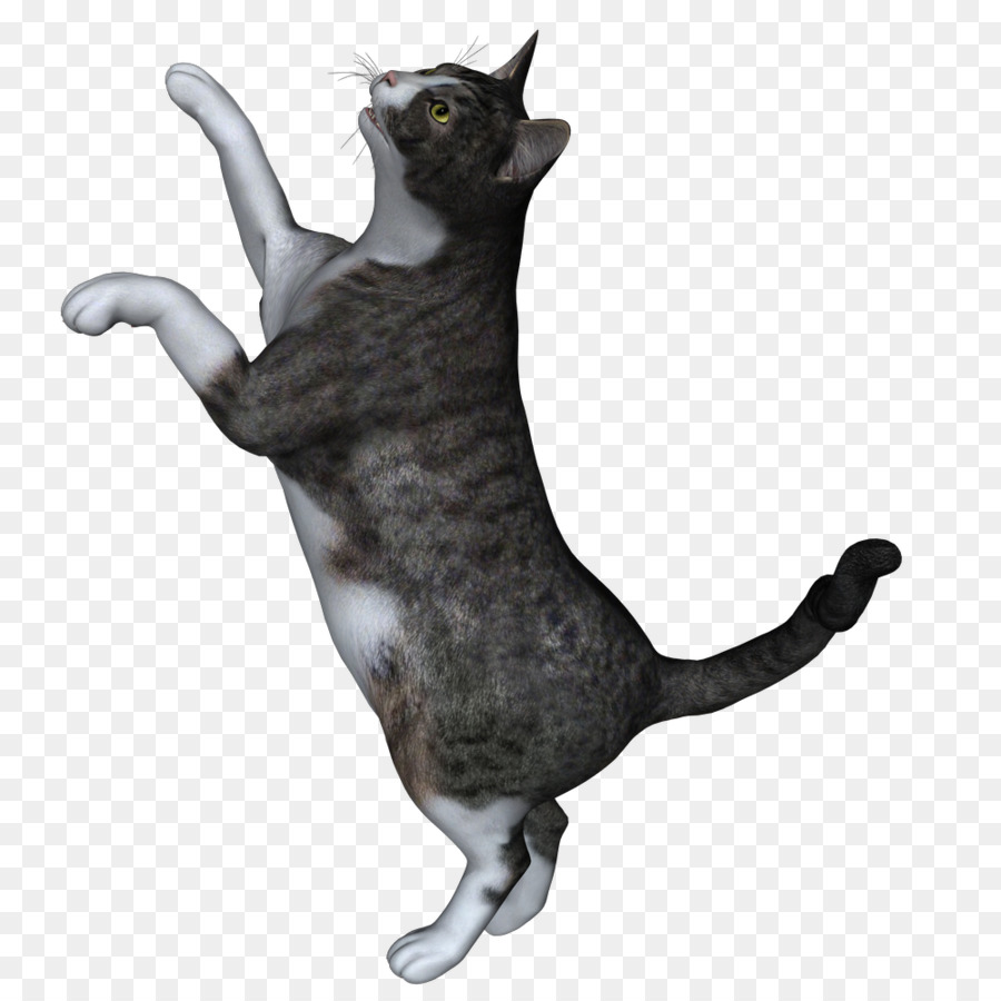Domestico gatto pelo corto Baffi Disegno - Disegnati a mano schizzo immagini di animali,Gatto