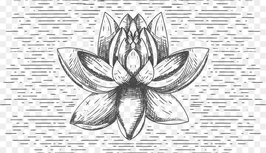 T-shirt Fiore Nelumbo nucifera in bianco e Nero - Vettoriale Di Schizzo Lotus