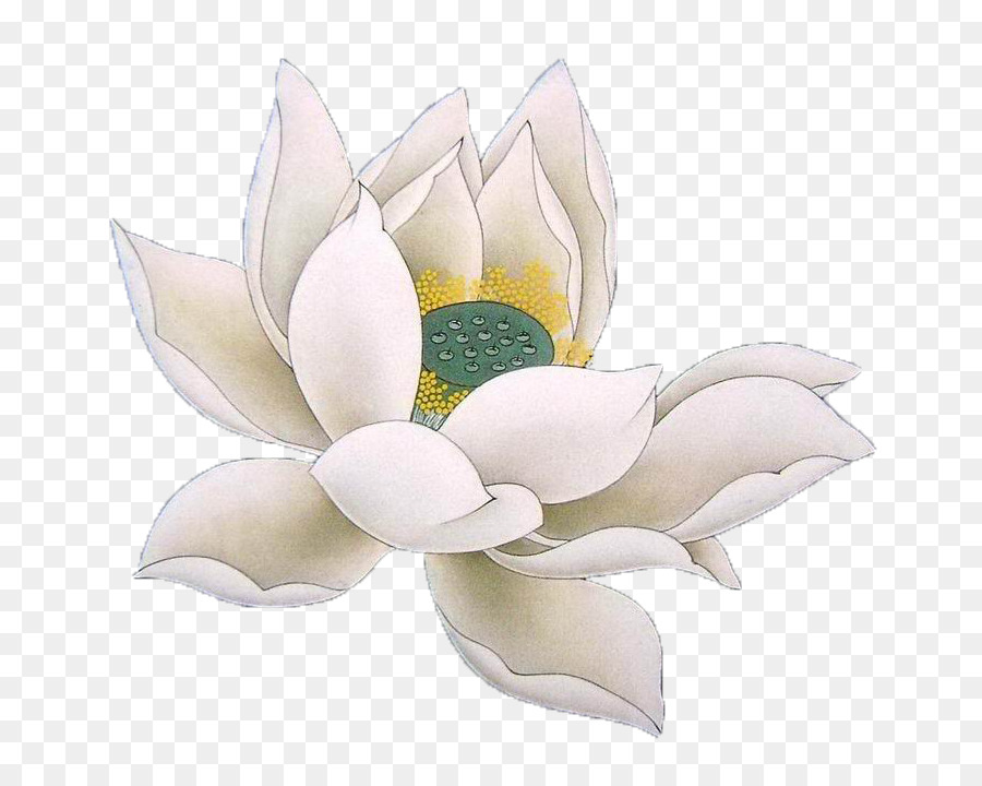 Nelumbo nucifera Buddhismus Zeichnung - Hand bemalt lotus