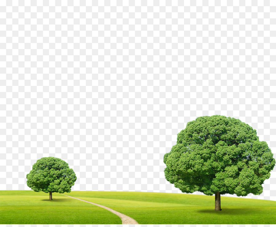 Tree Clip Art - Grün, gras, Bäume