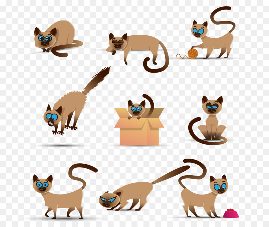 Siamesische Katze-Abessinier Kätzchen Hund Clip art - Abbildung orange pet-Siam Katze