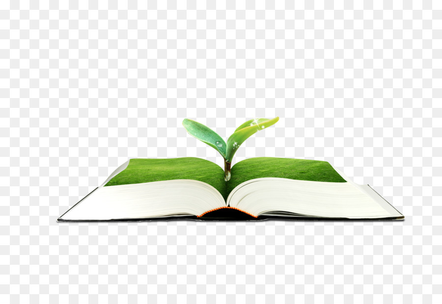 Blatt - grün Buch