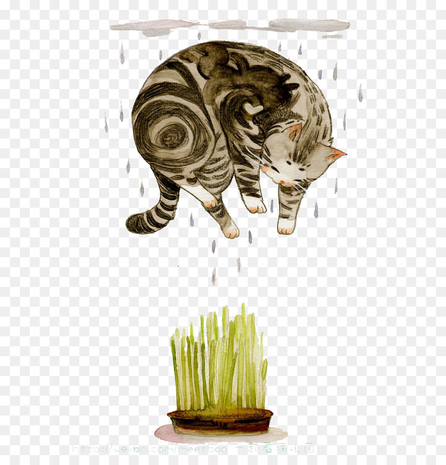 Gatto Acquerello Fiori Illustrazione - Acquerello gatto
