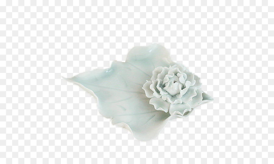 Porzellan Blume, Fotografie - weißer lotus