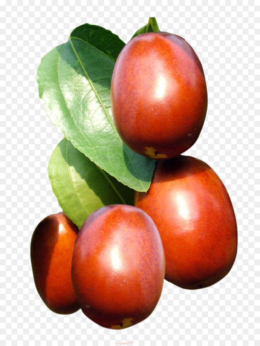 Indische Jujube-Frucht-Baum Auglis - Gute textur, frisch jujube Kind
