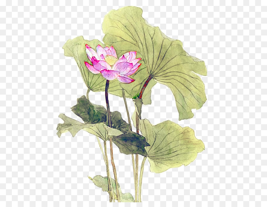 Nelumbo nucifera Leaf Lotus Effekt - Hand bemalt lotus lotus