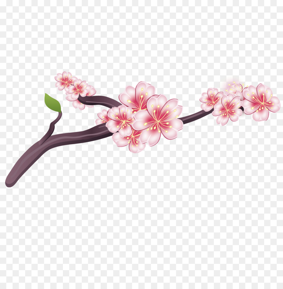 festival nazionale dei fiori di ciliegio - Squisito plum blossom