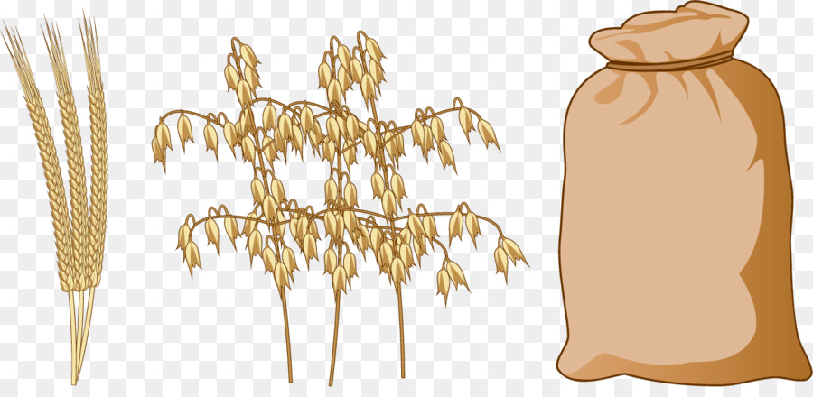 Getreide Reis Weizen Essen - Vektor-Weizen-Ernte Säcke
