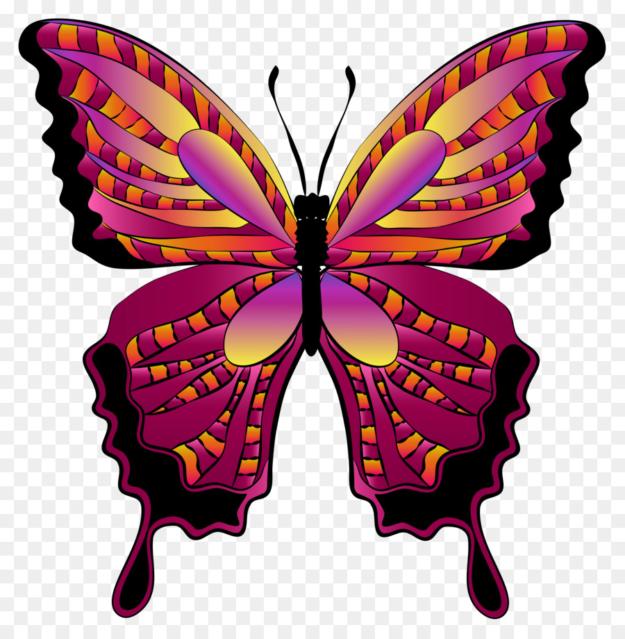 Schmetterling, Morpho menelaus Morpho rhetenor Clip-art - Schmetterling clip art