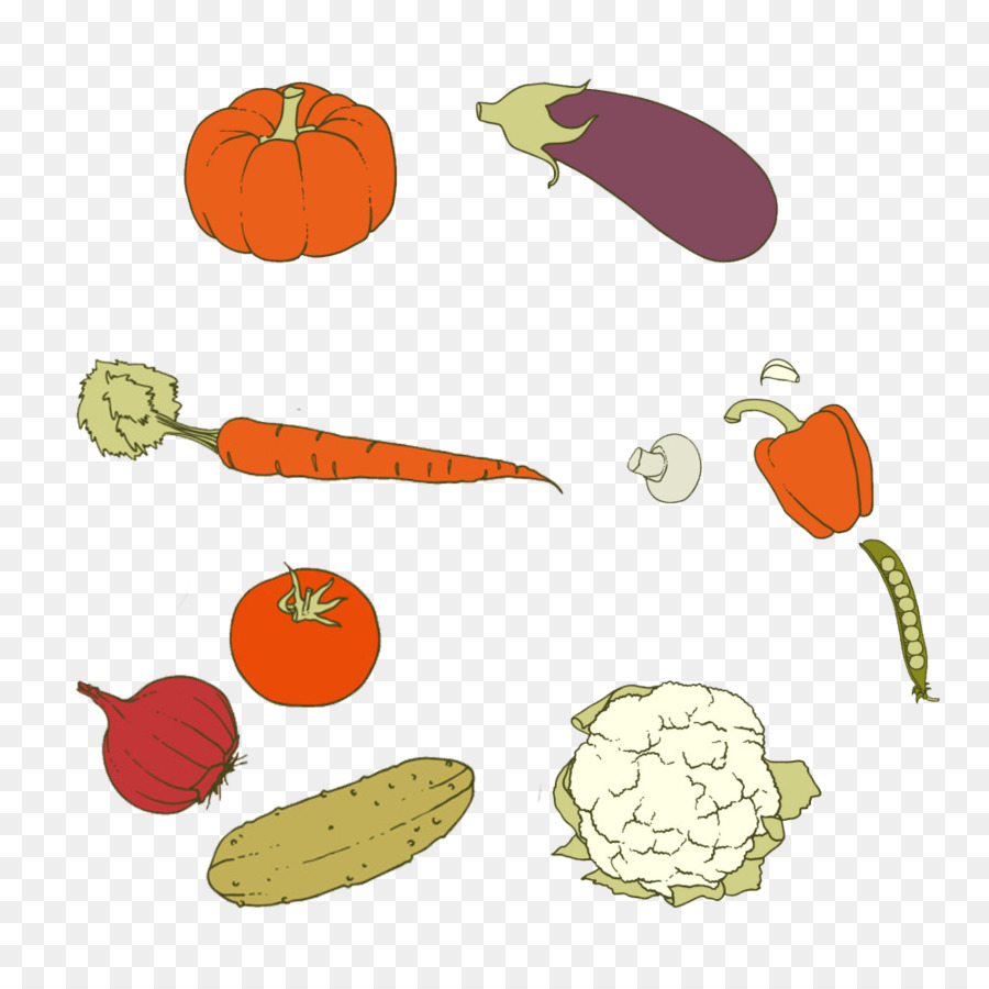 Karotten-Vegetarische Küche-Gemüse-Kürbis - Frisches Gemüse Abbildung