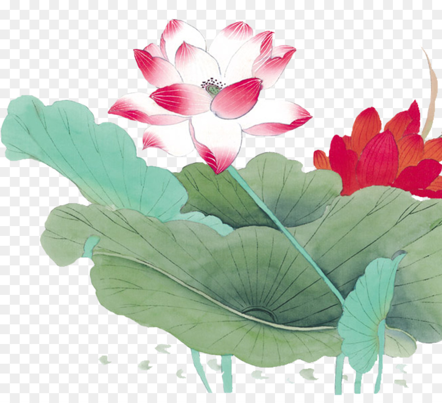 Nelumbo nucifera Blumen-Vogel-Malerei - Chinesischen Stil Malerei lotus lotus