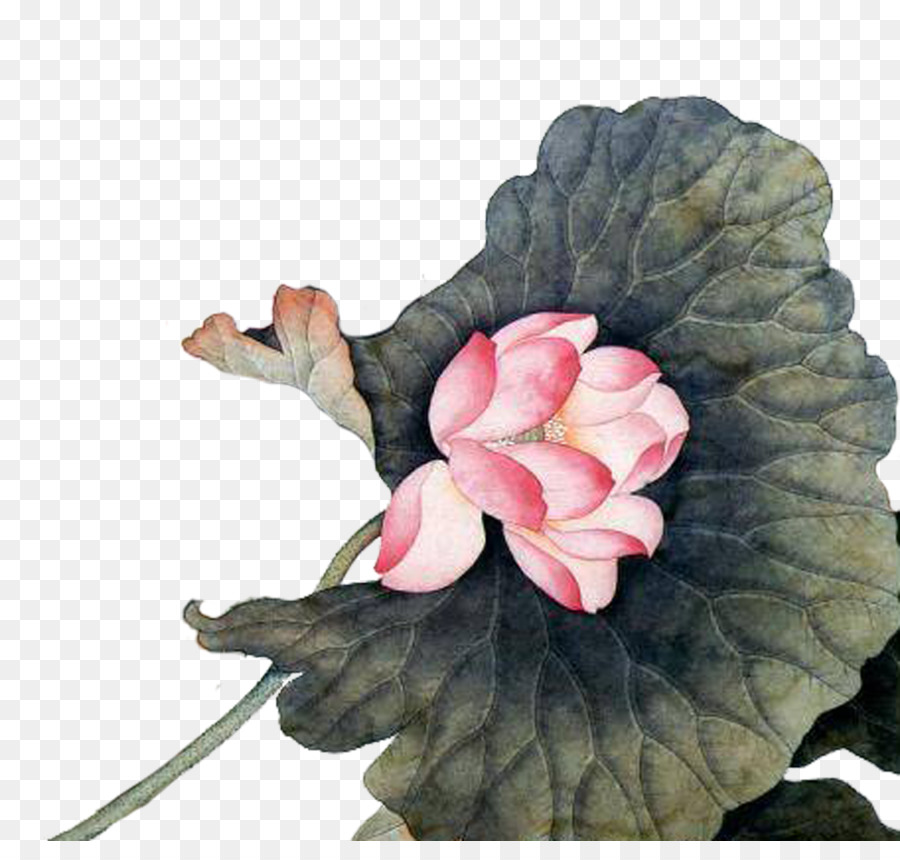 Papier chinesische Malerei Kunst Tapete - Malerei lotus