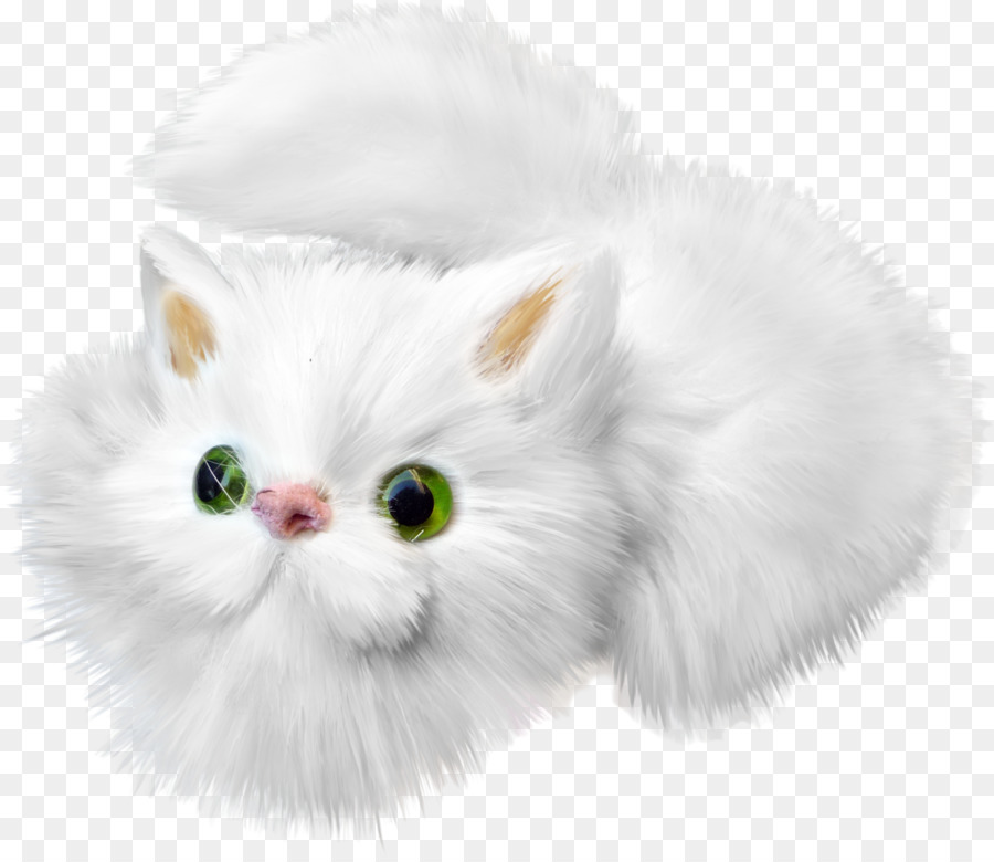 Katze Kätzchen Weiß-Zeichnung - Cartoon weiße Katze