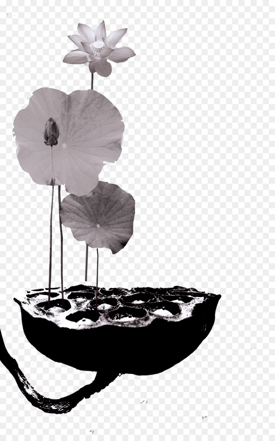 Poster Chinoiserie - Inchiostro effetto loto