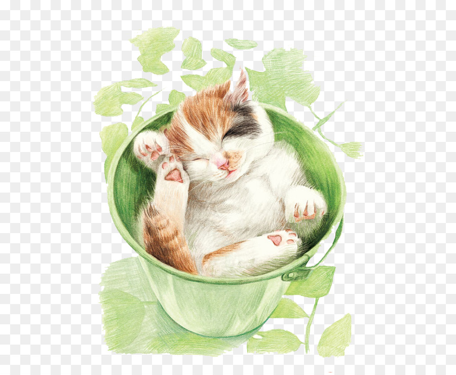 Katze Schnurrhaare von Kätzchen buntstift-Zeichnung - Farbe Blei cat