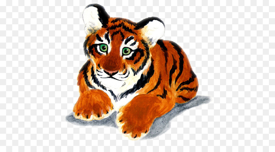 Tiger pittura ad Acquerello Bambino - Bel dipinto a mano tiger pancia