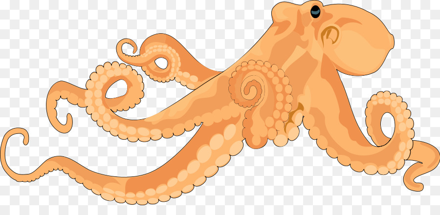 Octopus Kostenlose Inhalte Clip art - Octopus ClipArts