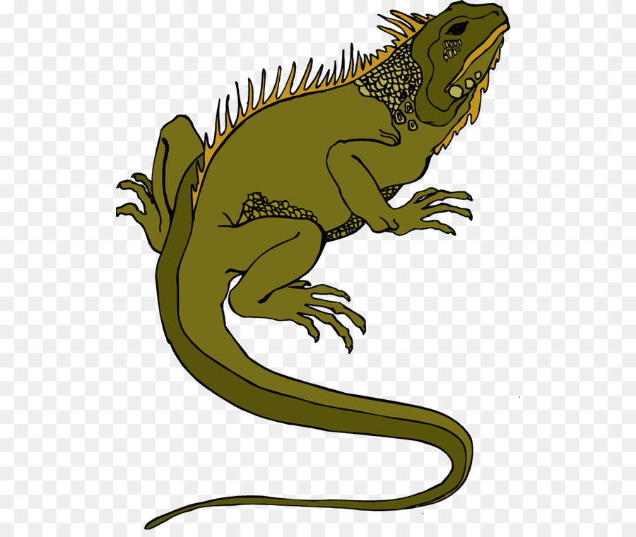 Texas cornuto lucertola, Rettile Comune Iguane Clip art - Lizard Clipart
