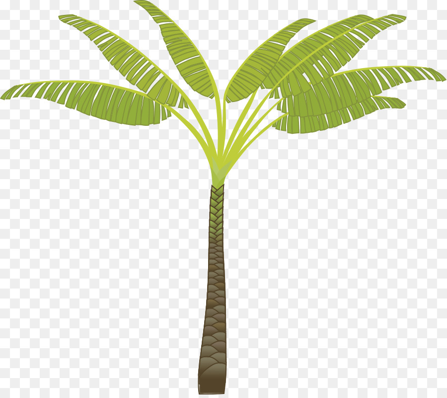 Arecaceae-Baum Kokosnuss-clipart - Kostenlose Vektor Bäume