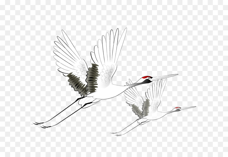 Kranich-Vogel-Flug - Fliegende Reiher