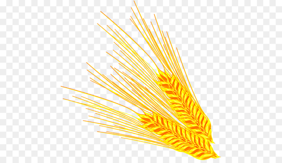 Tải Về Máy Tính Biểu Tượng - Vàng chín hạt lúa mì