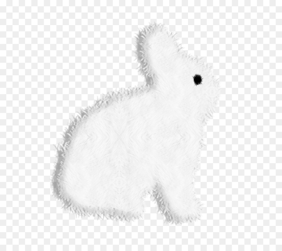 Heimische Kaninchen Hase Ratte Tasthaare Hund - niedliches weißes Kaninchen