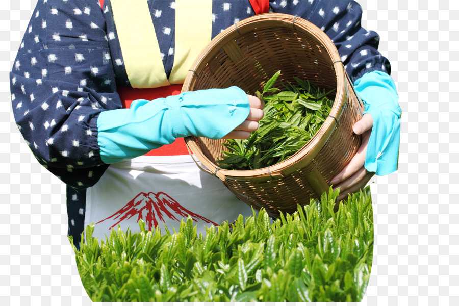 Il tè verde Wazuka Sencha Tè giardino - Il tè in un cesto di bambù